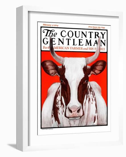 "Texas Longhorn," Country Gentleman Cover, February 9, 1924-Charles Bull-Framed Giclee Print