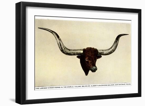 Texas Longhorn Steer Trophy Head-null-Framed Art Print