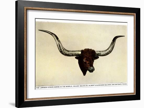 Texas Longhorn Steer Trophy Head-null-Framed Art Print