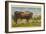 Texas Longhorn Steer-null-Framed Art Print