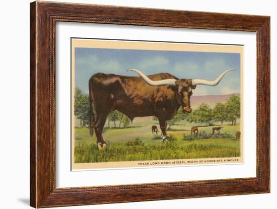 Texas Longhorn Steer--Framed Art Print