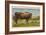 Texas Longhorn Steer-null-Framed Art Print