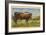 Texas Longhorn Steer-null-Framed Art Print