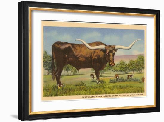 Texas Longhorn Steer-null-Framed Art Print