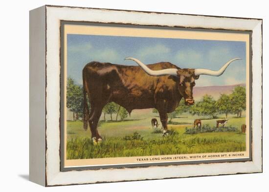 Texas Longhorn Steer-null-Framed Stretched Canvas