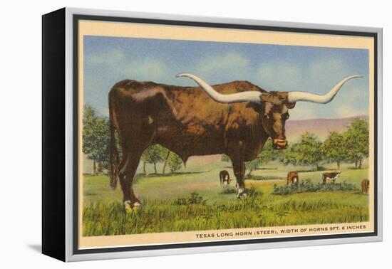 Texas Longhorn Steer-null-Framed Stretched Canvas