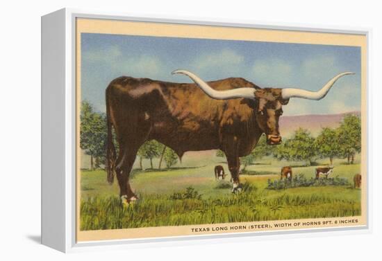 Texas Longhorn Steer-null-Framed Stretched Canvas