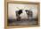 Texas Longhorns Crop-Debra Van Swearingen-Framed Premier Image Canvas