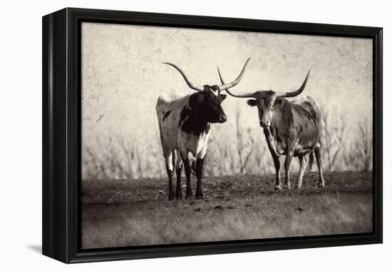 Texas Longhorns Crop-Debra Van Swearingen-Framed Premier Image Canvas