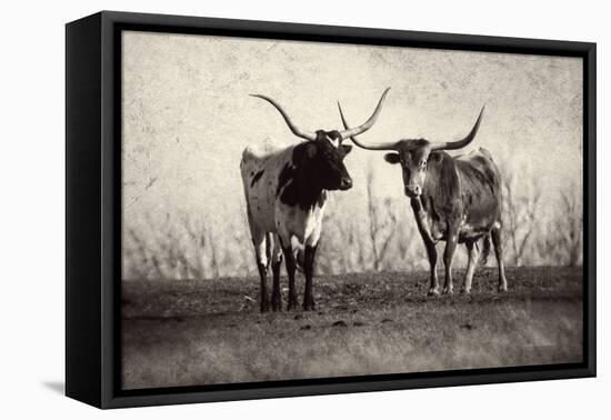 Texas Longhorns Crop-Debra Van Swearingen-Framed Premier Image Canvas