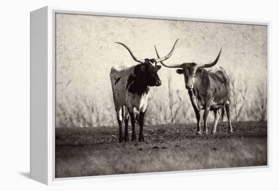 Texas Longhorns Crop-Debra Van Swearingen-Framed Premier Image Canvas