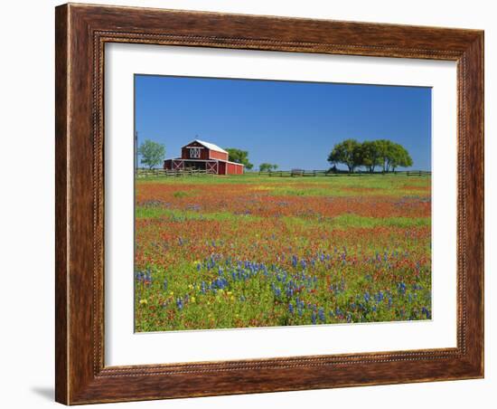 Texas Paintbrush Flowers and Red Barn in Field, Texas Hill Country, Texas, USA-Adam Jones-Framed Photographic Print