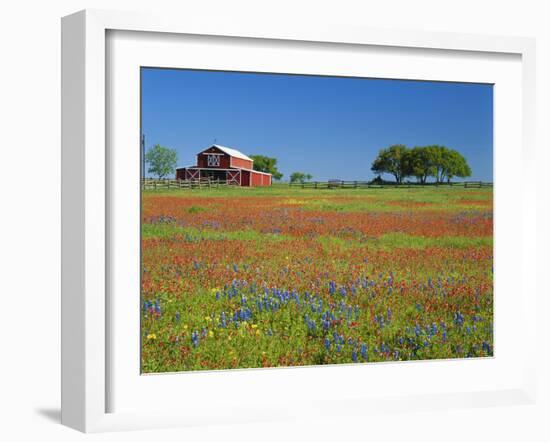 Texas Paintbrush Flowers and Red Barn in Field, Texas Hill Country, Texas, USA-Adam Jones-Framed Photographic Print