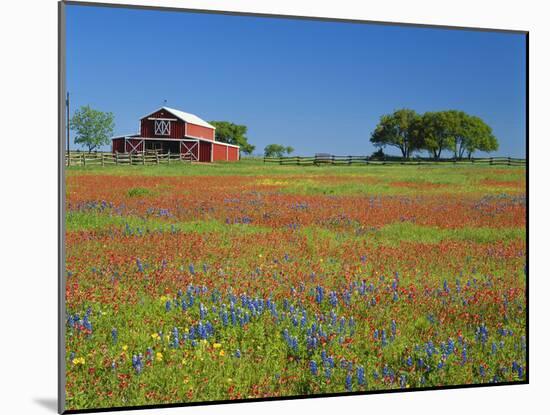 Texas Paintbrush Flowers and Red Barn in Field, Texas Hill Country, Texas, USA-Adam Jones-Mounted Photographic Print