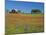 Texas Paintbrush Flowers and Red Barn in Field, Texas Hill Country, Texas, USA-Adam Jones-Mounted Photographic Print