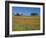 Texas Paintbrush Flowers and Red Barn in Field, Texas Hill Country, Texas, USA-Adam Jones-Framed Photographic Print