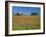 Texas Paintbrush Flowers and Red Barn in Field, Texas Hill Country, Texas, USA-Adam Jones-Framed Photographic Print