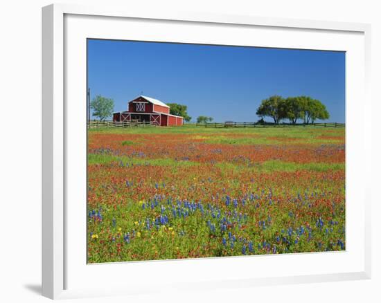 Texas Paintbrush Flowers and Red Barn in Field, Texas Hill Country, Texas, USA-Adam Jones-Framed Photographic Print