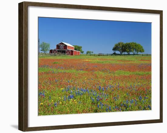 Texas Paintbrush Flowers and Red Barn in Field, Texas Hill Country, Texas, USA-Adam Jones-Framed Photographic Print