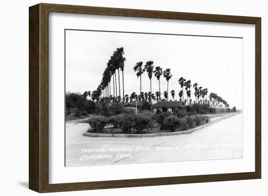 Texas - Palms along the Highway in Lower Rio Grande Valley-Lantern Press-Framed Art Print