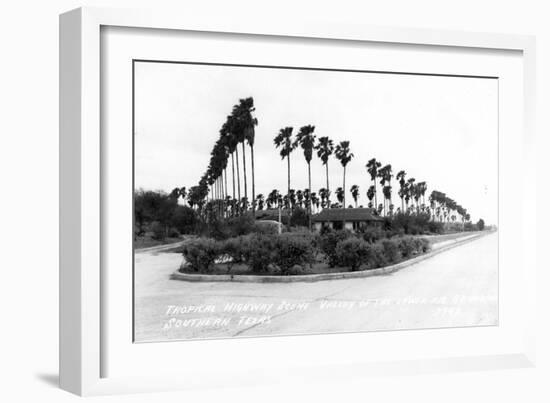 Texas - Palms along the Highway in Lower Rio Grande Valley-Lantern Press-Framed Art Print