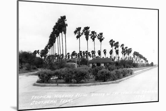 Texas - Palms along the Highway in Lower Rio Grande Valley-Lantern Press-Mounted Art Print