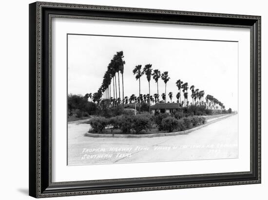 Texas - Palms along the Highway in Lower Rio Grande Valley-Lantern Press-Framed Art Print