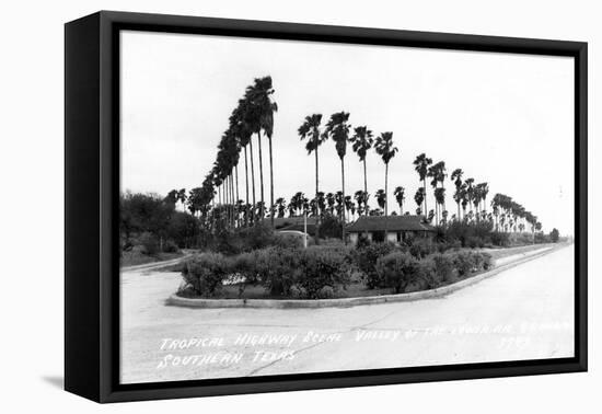 Texas - Palms along the Highway in Lower Rio Grande Valley-Lantern Press-Framed Stretched Canvas