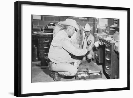 Texas Rangers Investigating a Crime Scene, C.1970-null-Framed Photographic Print