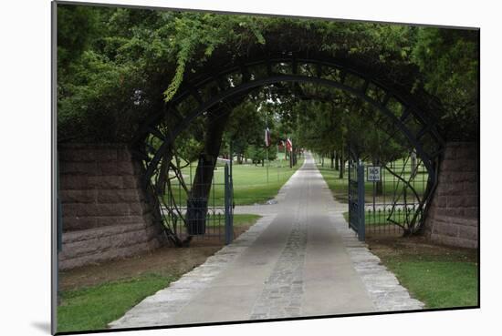 Texas State Cemetery, United States-null-Mounted Giclee Print