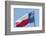 Texas state flag, Austin, Texas, Usa-Jim Engelbrecht-Framed Photographic Print