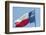 Texas state flag, Austin, Texas, Usa-Jim Engelbrecht-Framed Photographic Print