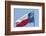 Texas state flag, Austin, Texas, Usa-Jim Engelbrecht-Framed Photographic Print