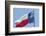 Texas state flag, Austin, Texas, Usa-Jim Engelbrecht-Framed Photographic Print