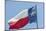 Texas state flag, Austin, Texas, Usa-Jim Engelbrecht-Mounted Photographic Print