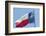 Texas state flag, Austin, Texas, Usa-Jim Engelbrecht-Framed Photographic Print