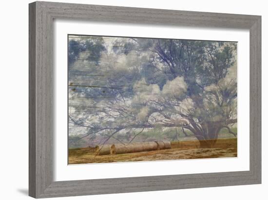 Texas Tree Collage-Sisa Jasper-Framed Art Print