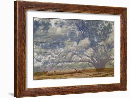 Texas Tree Collage-Sisa Jasper-Framed Art Print