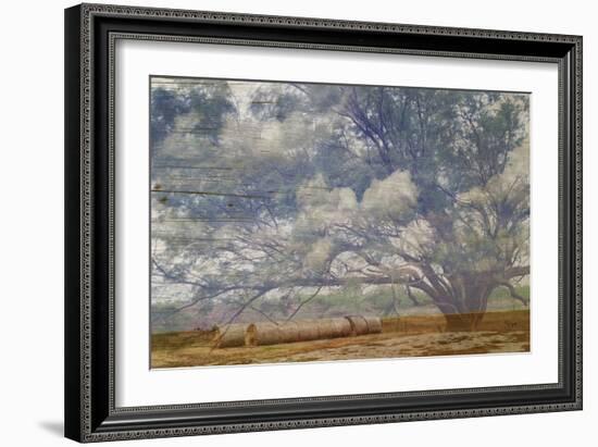 Texas Tree Collage-Sisa Jasper-Framed Art Print