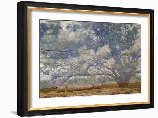 Texas Tree Collage-Sisa Jasper-Framed Art Print