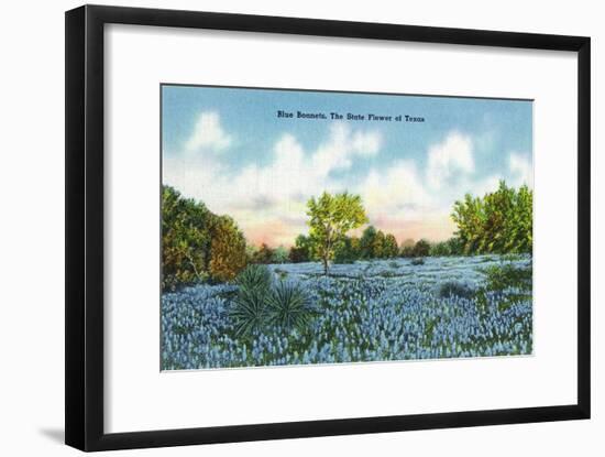 Texas - View of a Field of Blue Bonnets, c.1945-Lantern Press-Framed Art Print