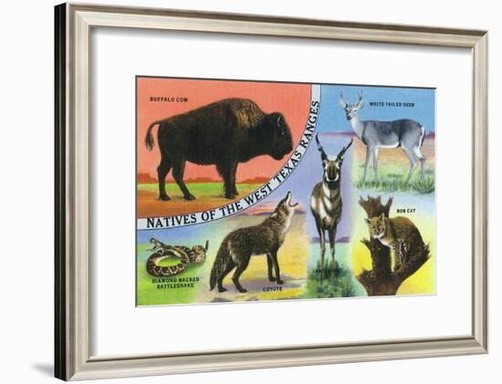 Texas - View of West Texas Natives: Buffalo, Coyote, Rattlesnake, Bob Cat, Antelope, Deer, c.1943-Lantern Press-Framed Art Print