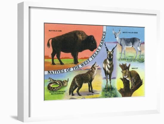 Texas - View of West Texas Natives: Buffalo, Coyote, Rattlesnake, Bob Cat, Antelope, Deer, c.1943-Lantern Press-Framed Art Print