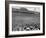 Texas Vs Oklahoma Game in the Cotton Bowl-null-Framed Photographic Print