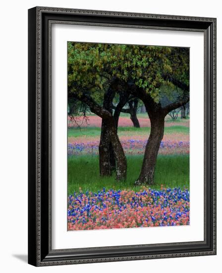 Texas Wildflowers and Dancing Trees, Hill Country, Texas, USA-Nancy Rotenberg-Framed Photographic Print