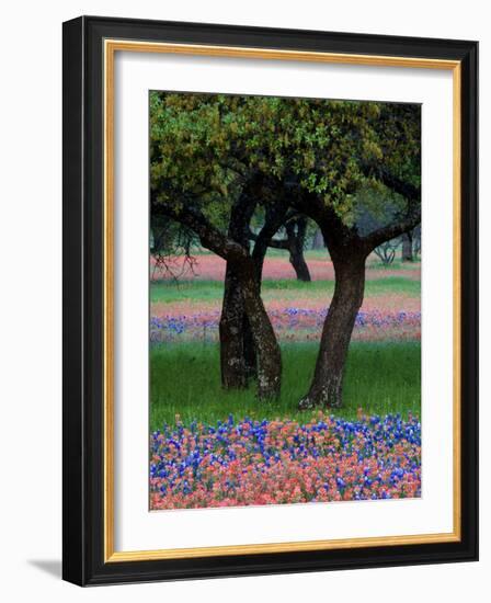 Texas Wildflowers and Dancing Trees, Hill Country, Texas, USA-Nancy Rotenberg-Framed Photographic Print