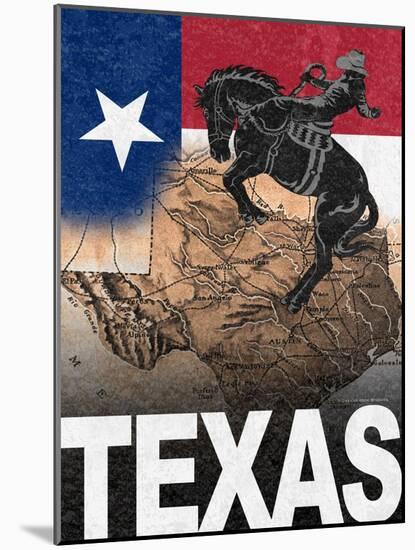 Texas-Todd Williams-Mounted Art Print