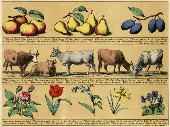 Art Print, , large
