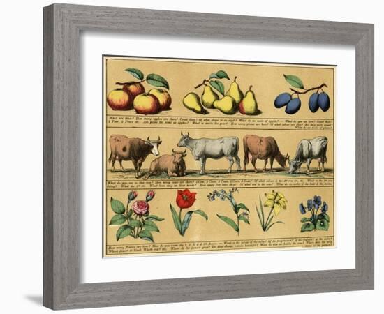 Textbook, 1880, Plate 3-null-Framed Art Print