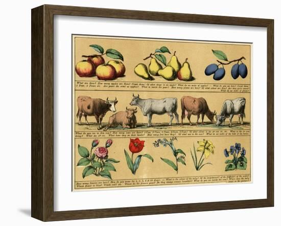 Textbook, 1880, Plate 3-null-Framed Art Print